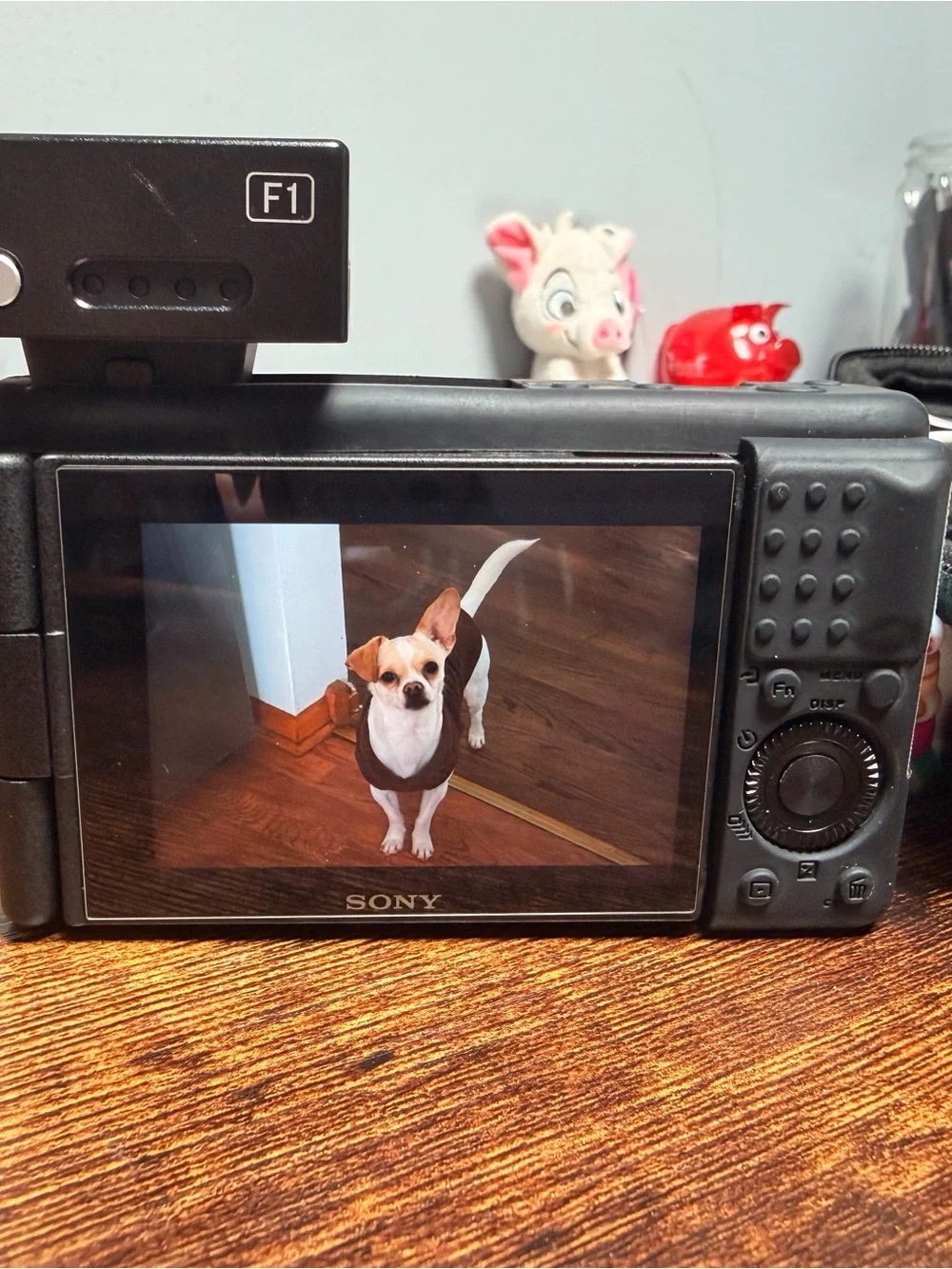 Sony Black Digital Camera with Zeiss Lens and Flash